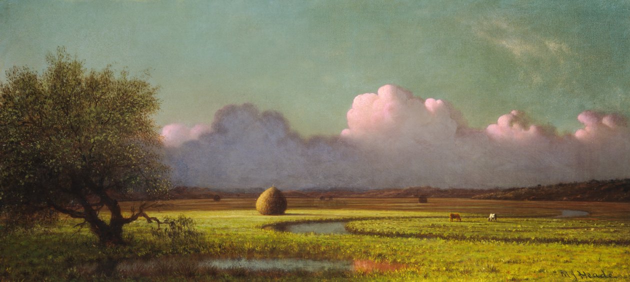 Güneş Işığı ve Gölge - Newbury Bataklıkları by Martin Johnson Heade