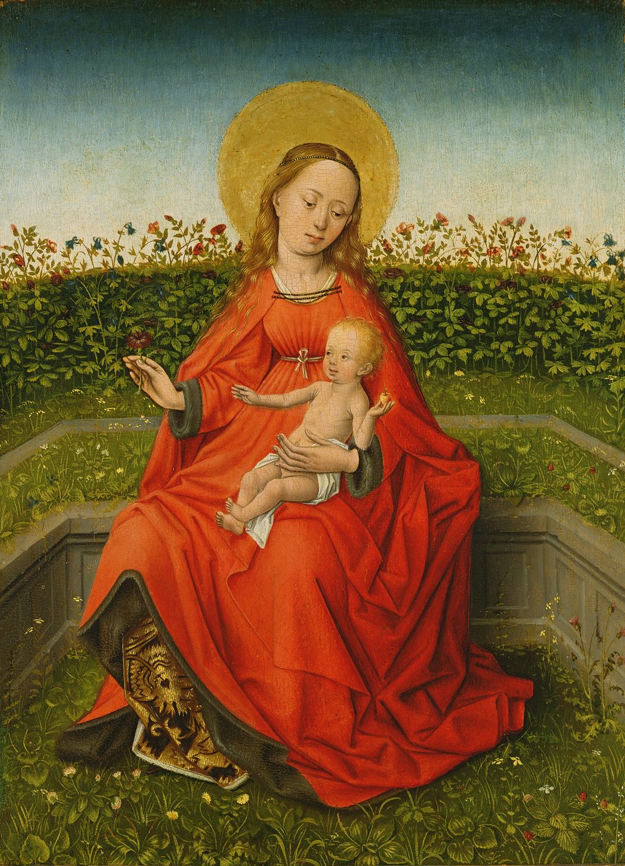 Gül Çalısının Maria