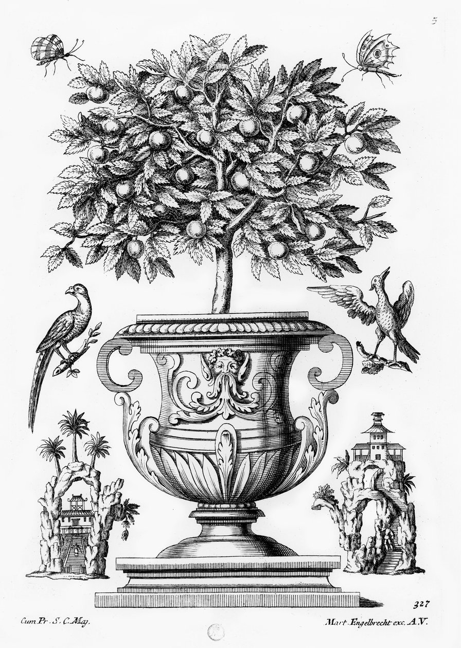 Narenciye ağaçları, c.1735 by Martin Engelbrecht