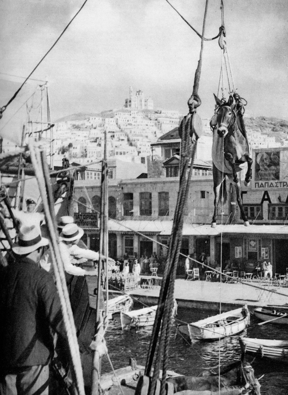 Katır nakliyesi, Syros Adası, Yunanistan, 1937. by Martin Hurlimann