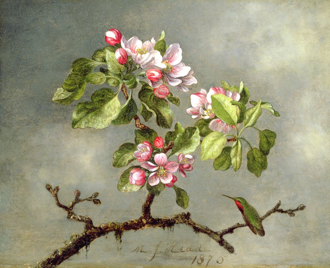 Elma Çiçekleri ve Sinek Kuşu, 1875 by Martin Johnson Heade