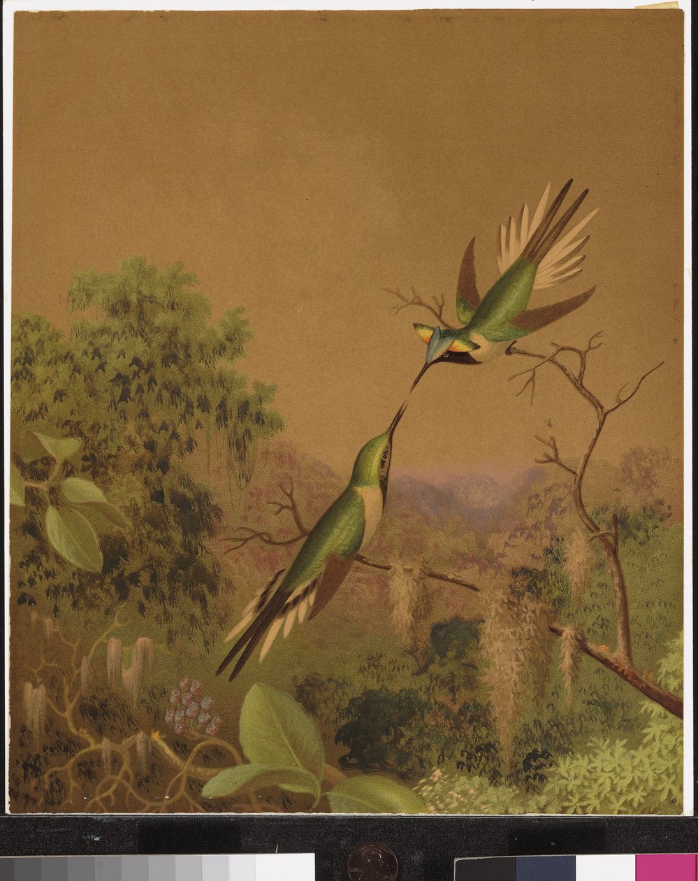 Brezilya sinek kuşları IV by Martin Johnson Heade