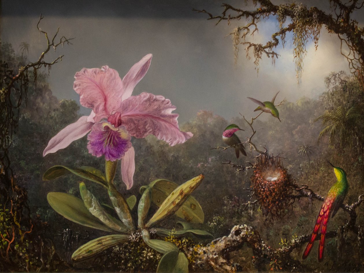  by Martin Johnson Heade