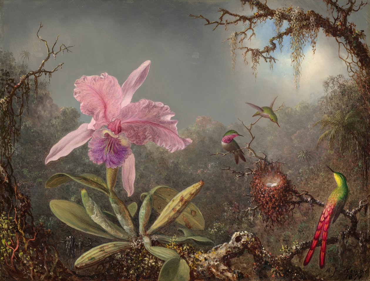 Cattleya Orkide ve Üç Sinek Kuşu by Martin Johnson Heade