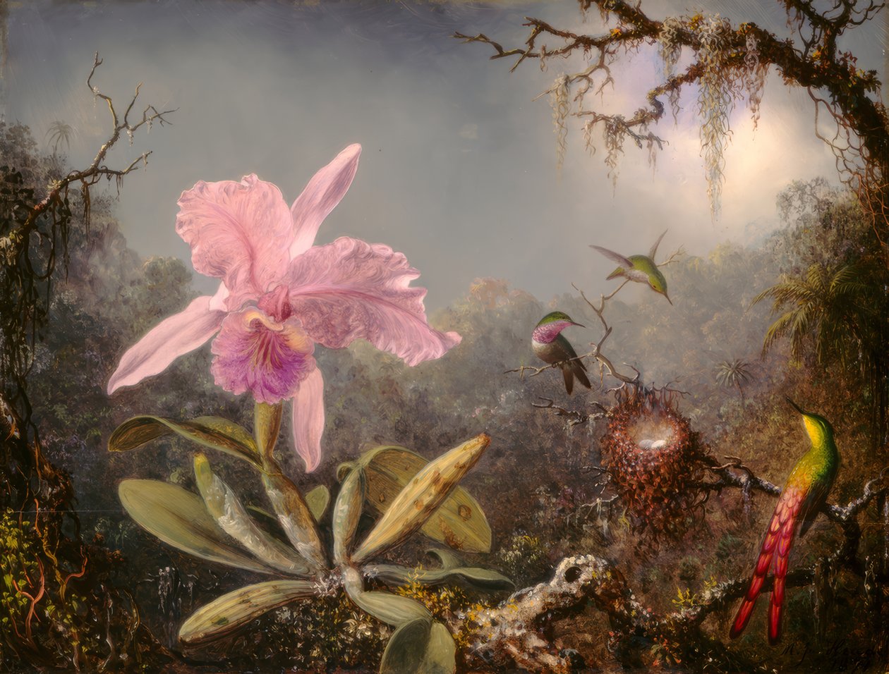 Cattleya Orkide ve Üç Sinek Kuşu by Martin Johnson Heade