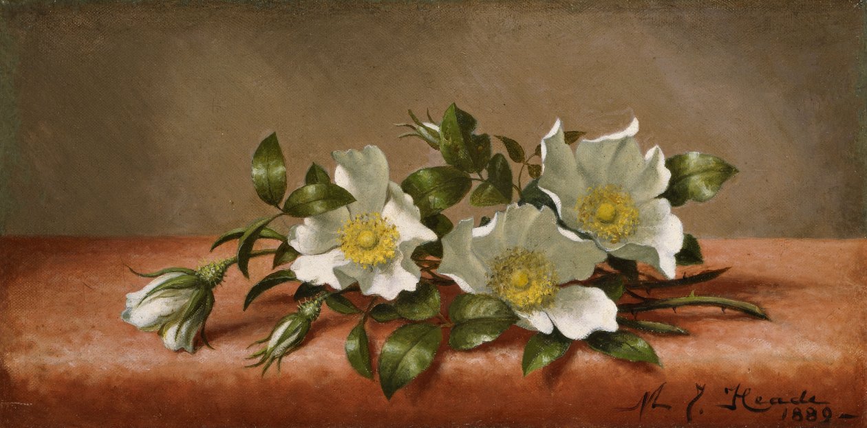 cherokee gülleri by Martin Johnson Heade