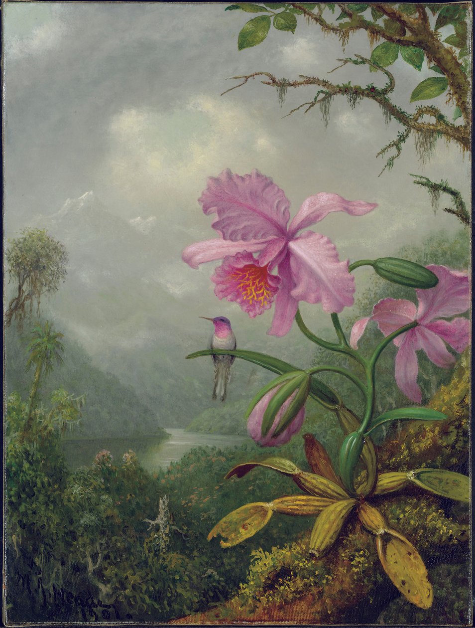 Bir Orkide Bitkisine Tünemiş Sinek Kuşu, 1901 by Martin Johnson Heade