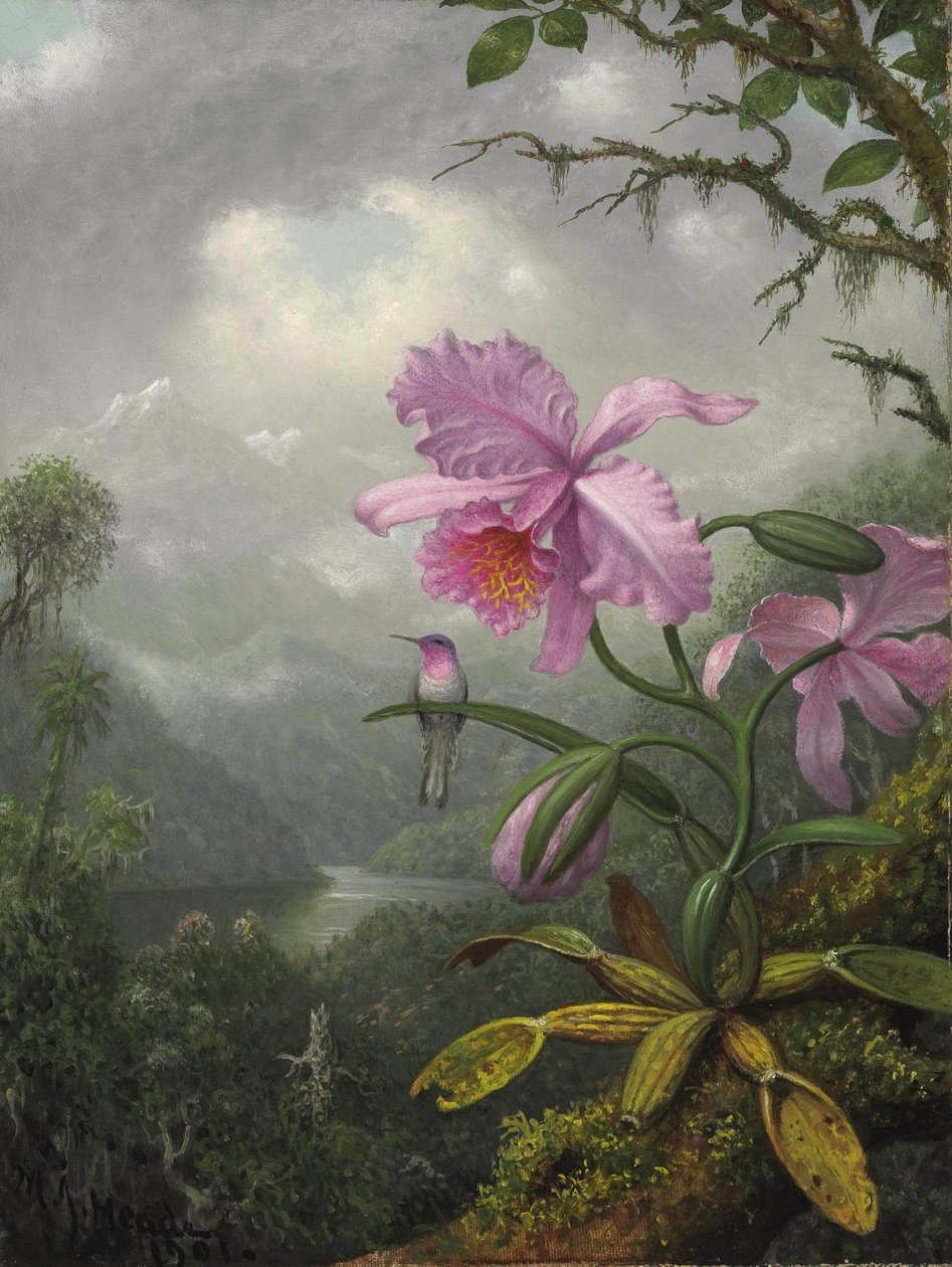  by Martin Johnson Heade