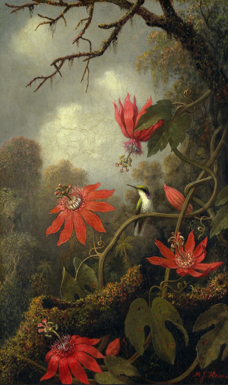 Sinekkuşu ve Çarkıfelek, yaklaşık. 1875-85. by Martin Johnson Heade
