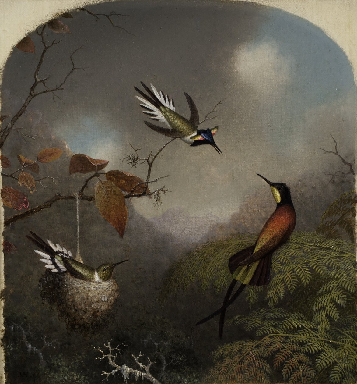 Sinek Kuşları: İki Sungem ve Bir Kızıl Topaz, 1866 by Martin Johnson Heade