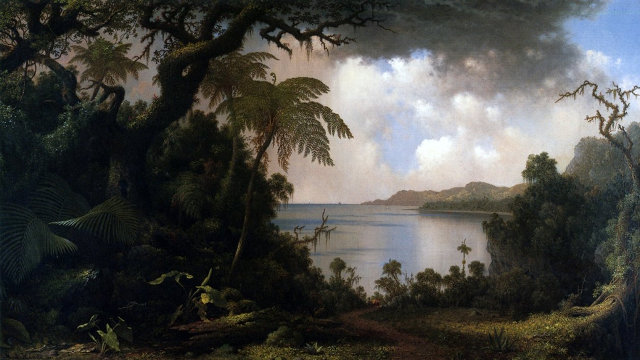 Jamaica, View from Fern-Tree Walk, 1887  by Martin Johnson Heade