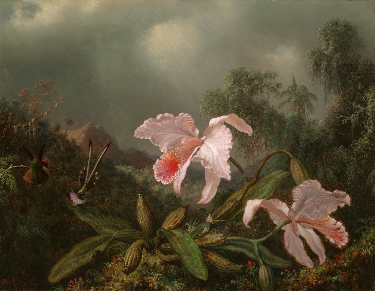 Orman Orkideleri ve Sinek Kuşları by Martin Johnson Heade