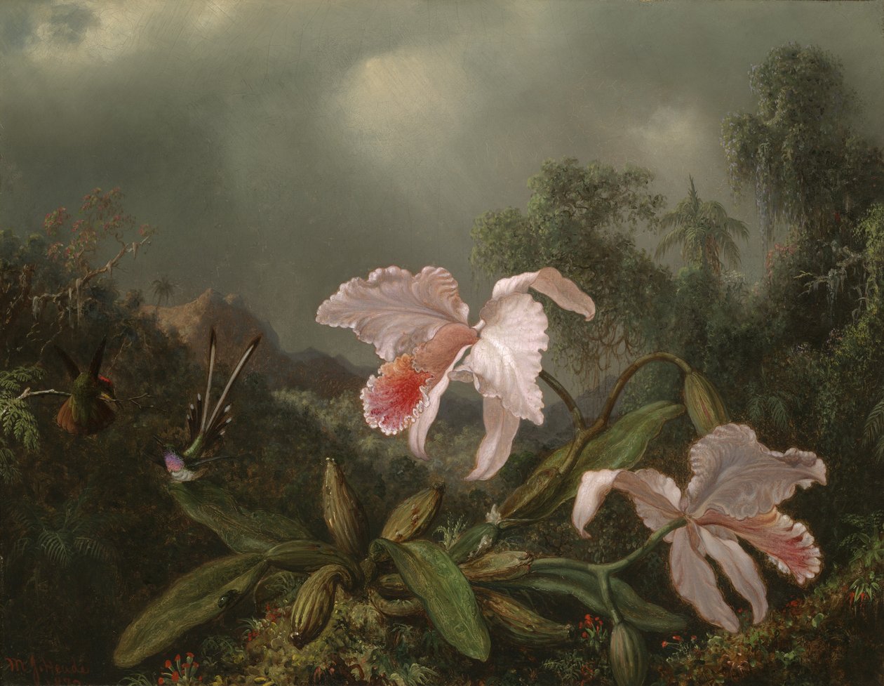 Orman Orkideleri ve Sinek Kuşları, 1872 by Martin Johnson Heade