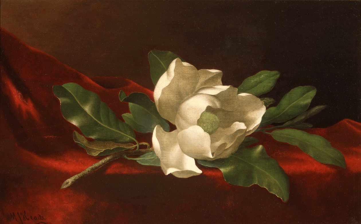  by Martin Johnson Heade