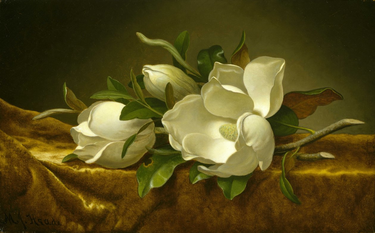  by Martin Johnson Heade