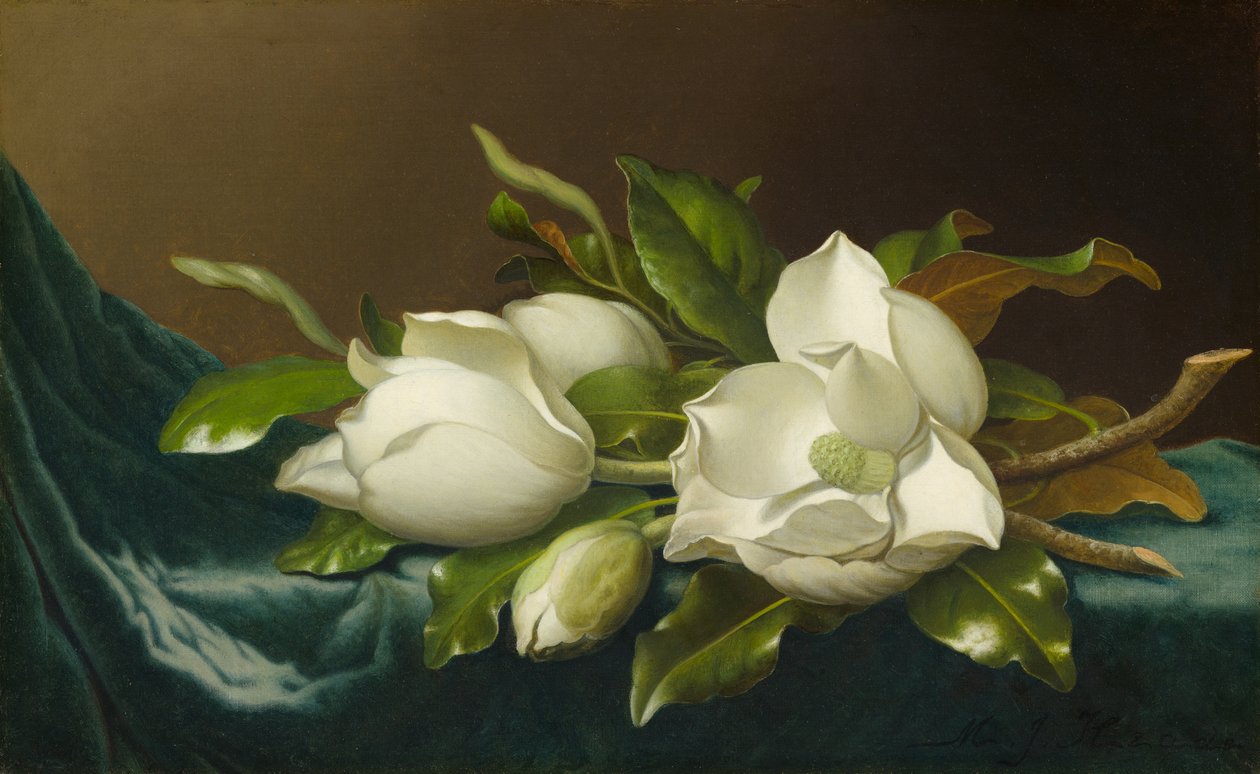  by Martin Johnson Heade