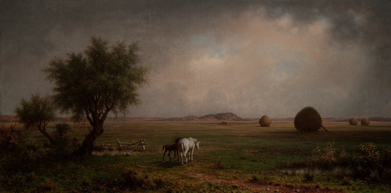 Marsh