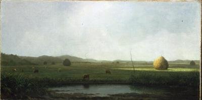 Bataklık Sahnesi: Saman Eyerinin Yanındaki Sığır (tuval üzerine yağlı boya) by Martin Johnson Heade