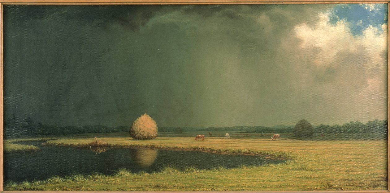  by Martin Johnson Heade
