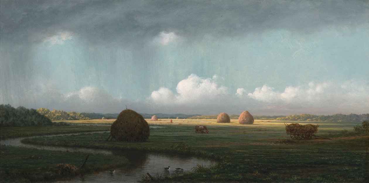 Ani Duş, Newbury Bataklıkları by Martin Johnson Heade