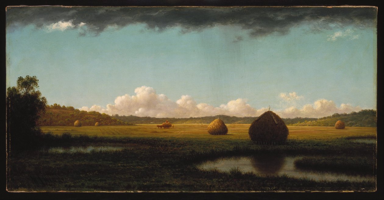  by Martin Johnson Heade