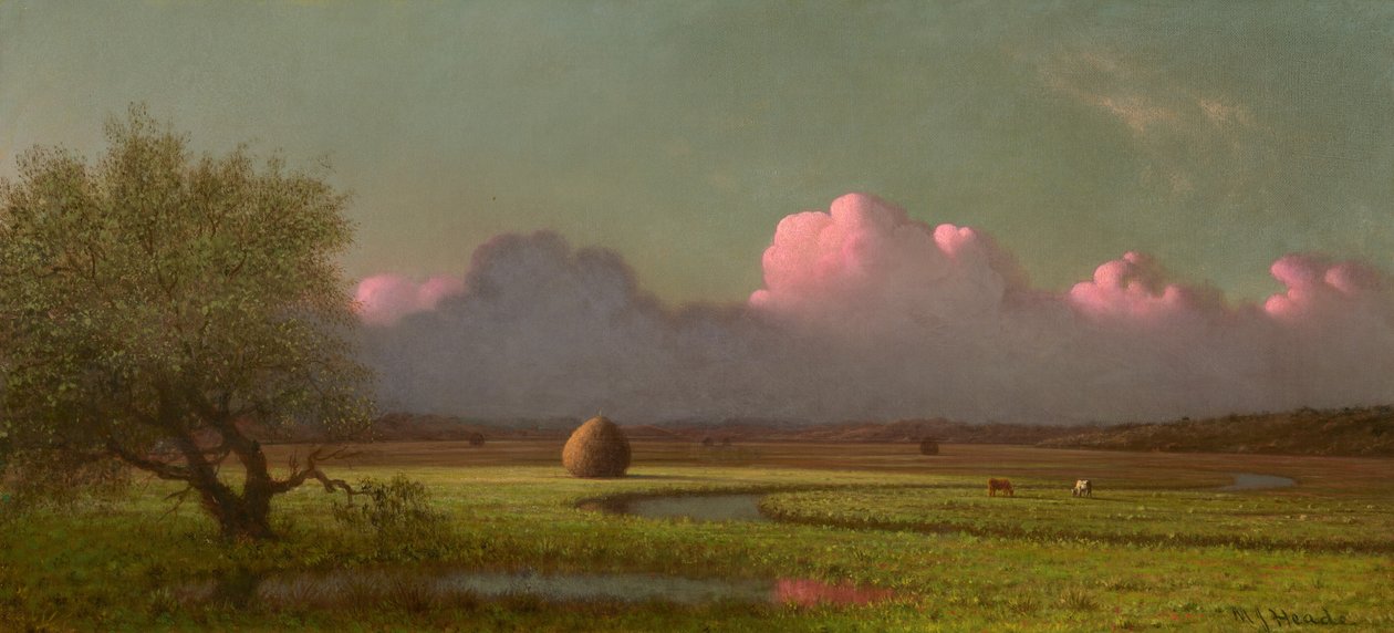 by Martin Johnson Heade