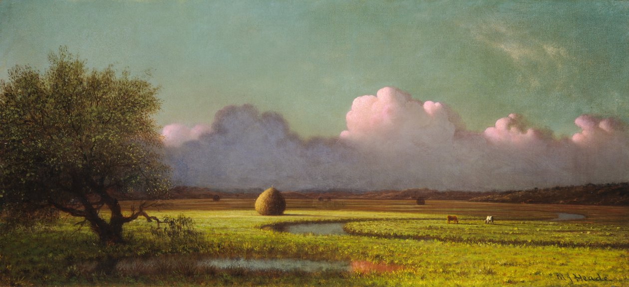 Güneş Işığı ve Gölge: Newbury Bataklıkları, c. 18711875. by Martin Johnson Heade