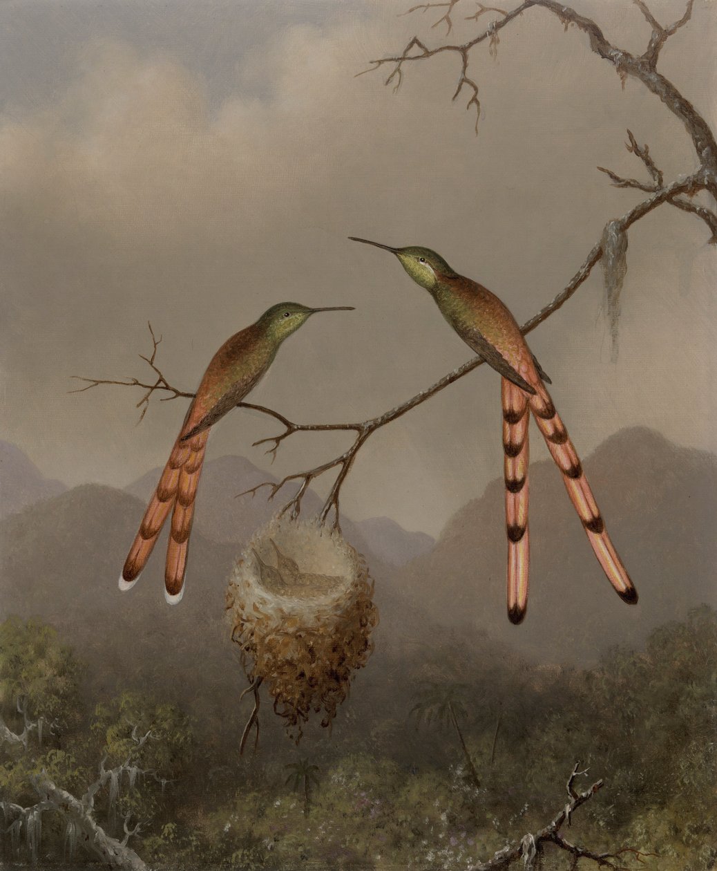 Yavrularıyla İki Sinek Kuşu by Martin Johnson Heade
