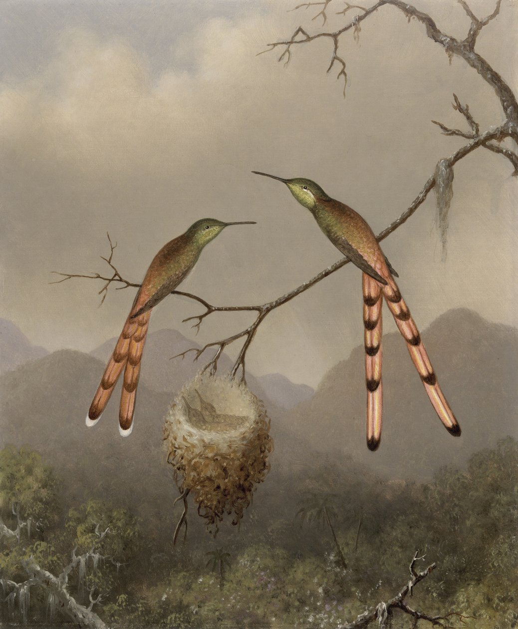 Yavrularıyla Birlikte İki Sinek Kuşu, 1865 dolayları by Martin Johnson Heade