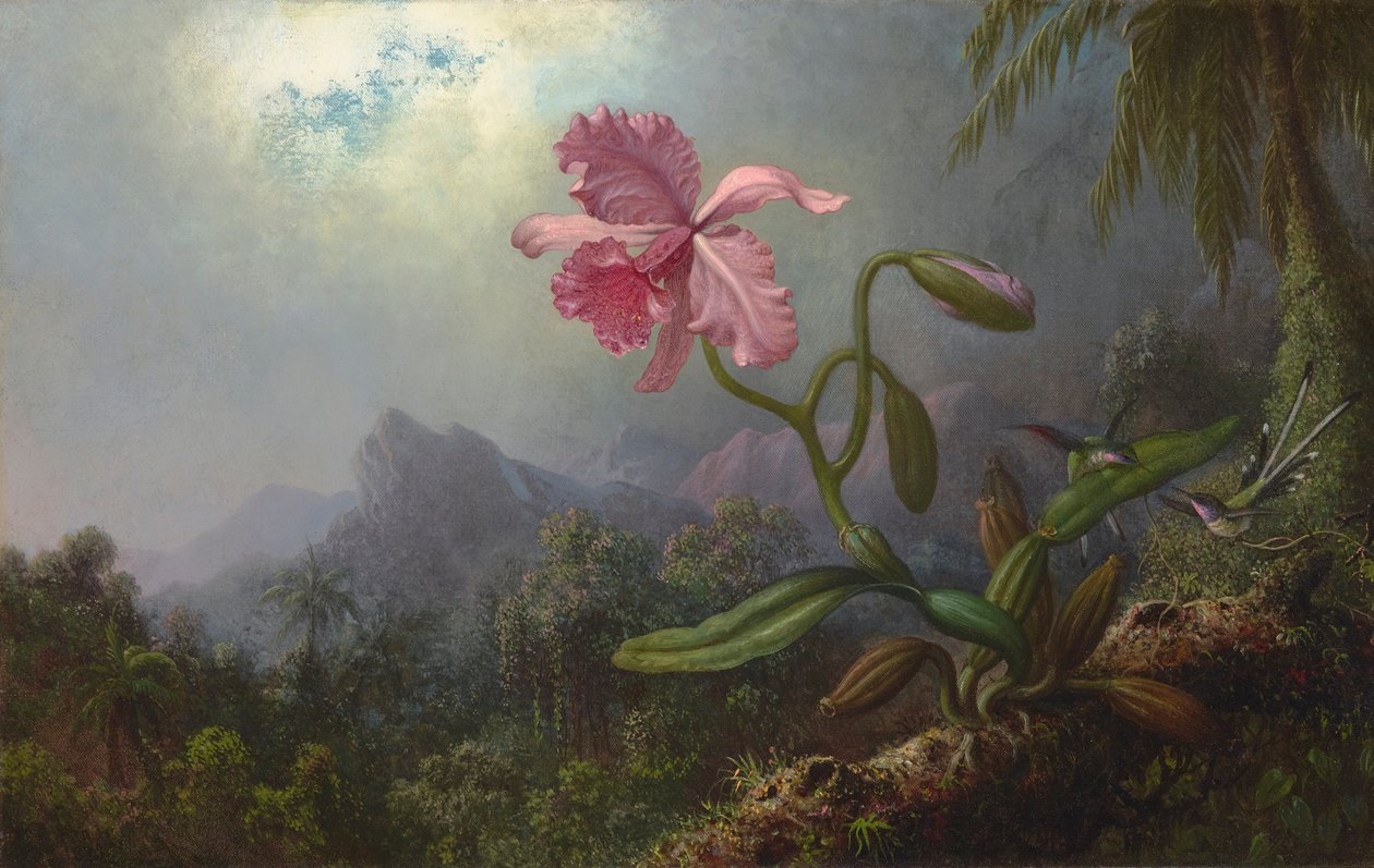  by Martin Johnson Heade