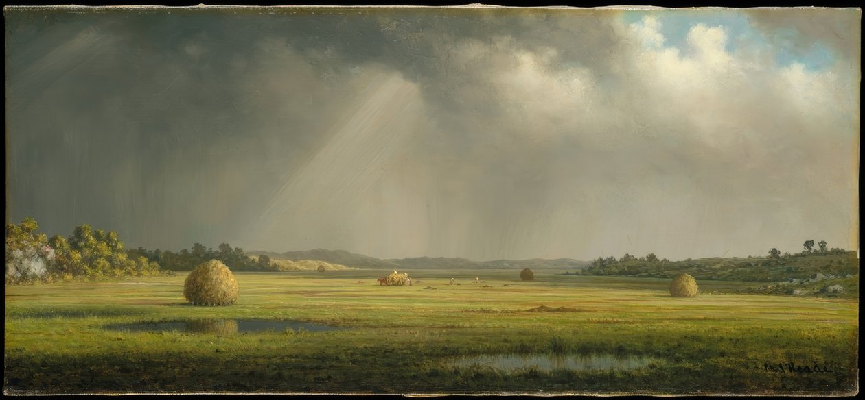 Newburyport Çayırları by Martin Johnson Heade