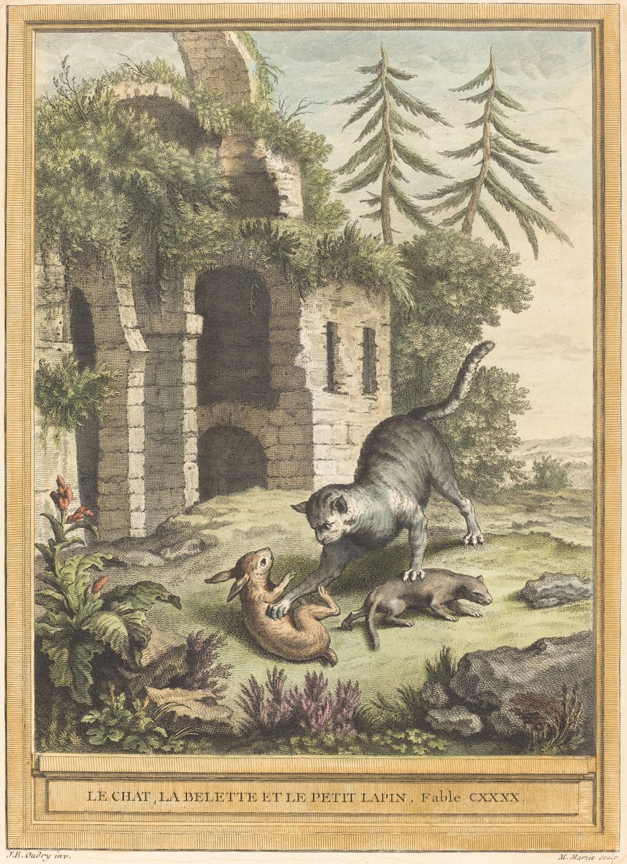 Le chat, la belette et le petit lapin (Kedi, Gelincik ve Tavşan) by Martin Marvie after Jean Baptiste Oudry