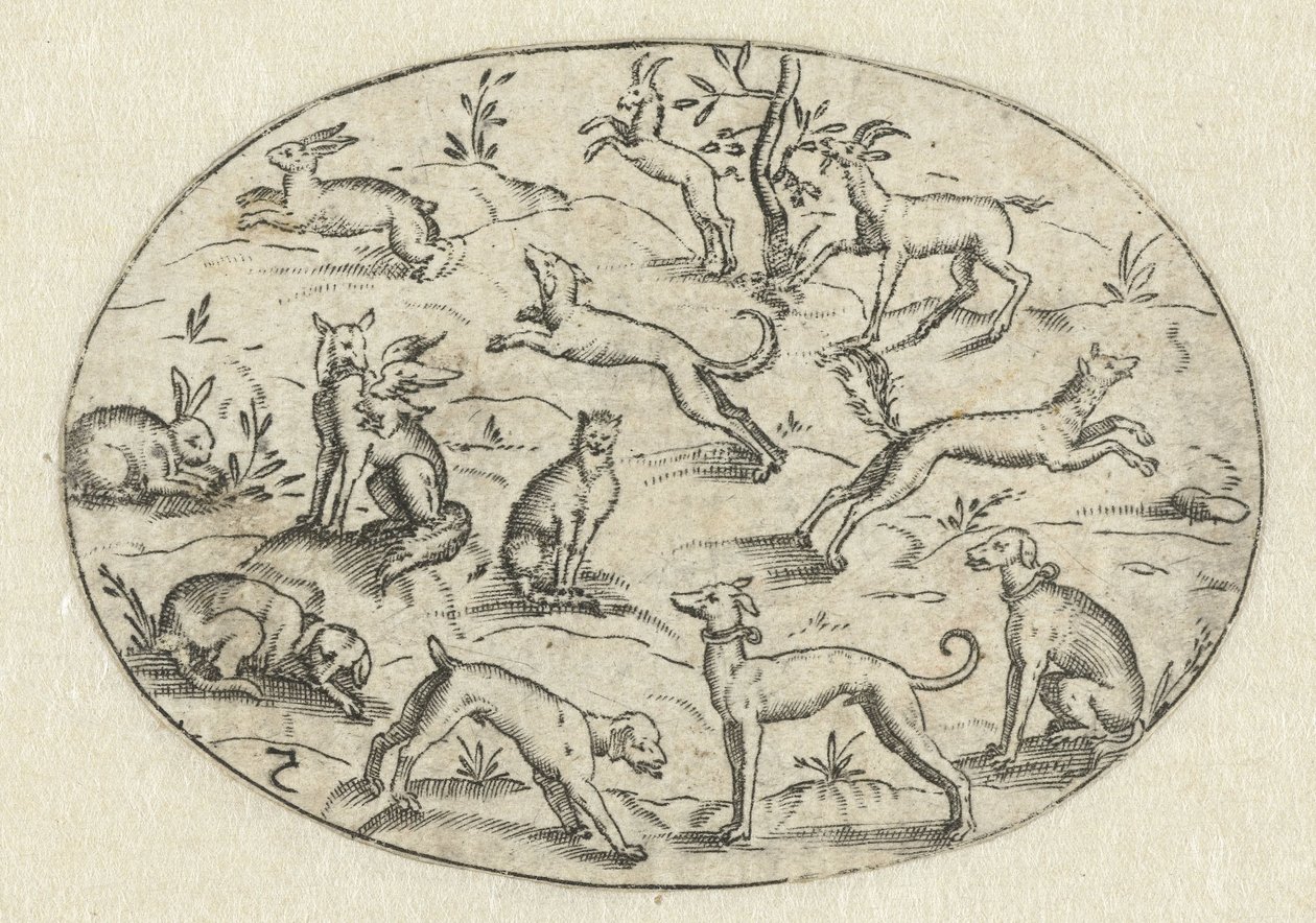 Köpekler, keçiler ve tavşanlar ile oval Nev Thier Bvechlein (dizi adı) by Martin Pleginck