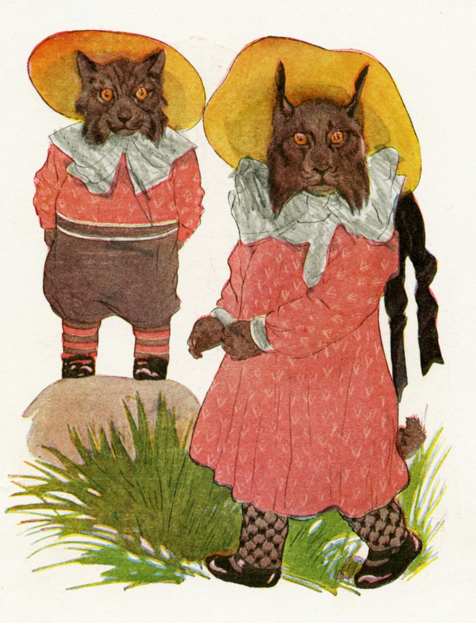Bobcat ve Kanada Vaşak, 1913 by Martin Ross