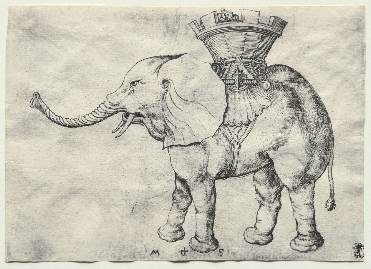 Howdah ile bir Fil by Martin Schongauer