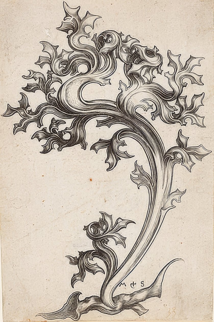 Bir devedikeni yaprak süsü by Martin Schongauer