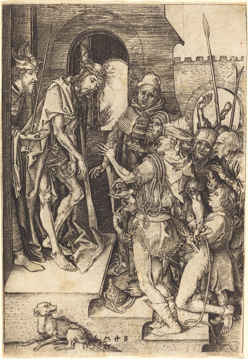 adama bak by Martin Schongauer
