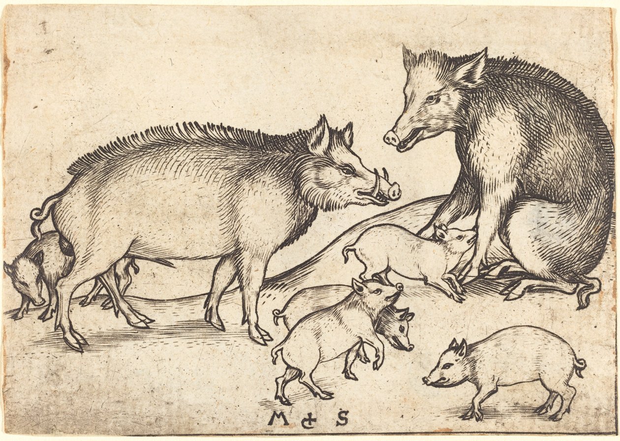 domuz ailesi by Martin Schongauer