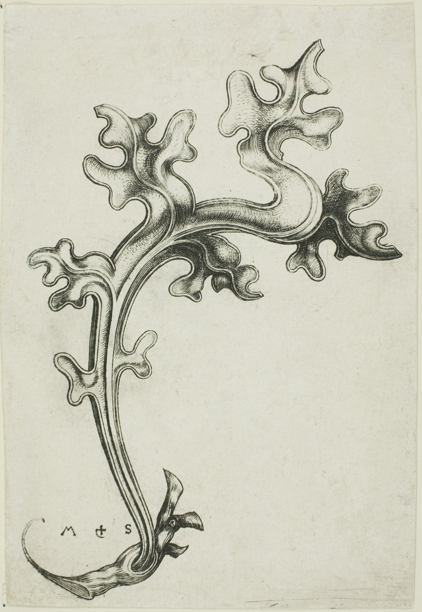  by Martin Schongauer