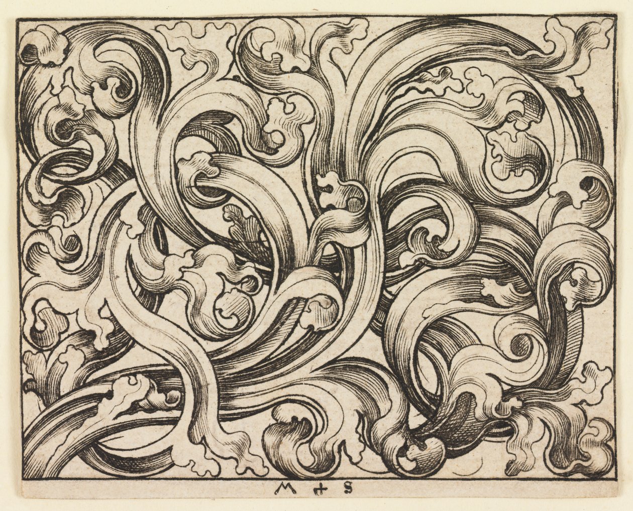 Hafif bir arka plan üzerinde yatay dolgu (yatay süsleme) by Martin Schongauer