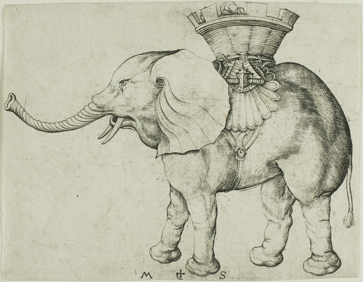  by Martin Schongauer
