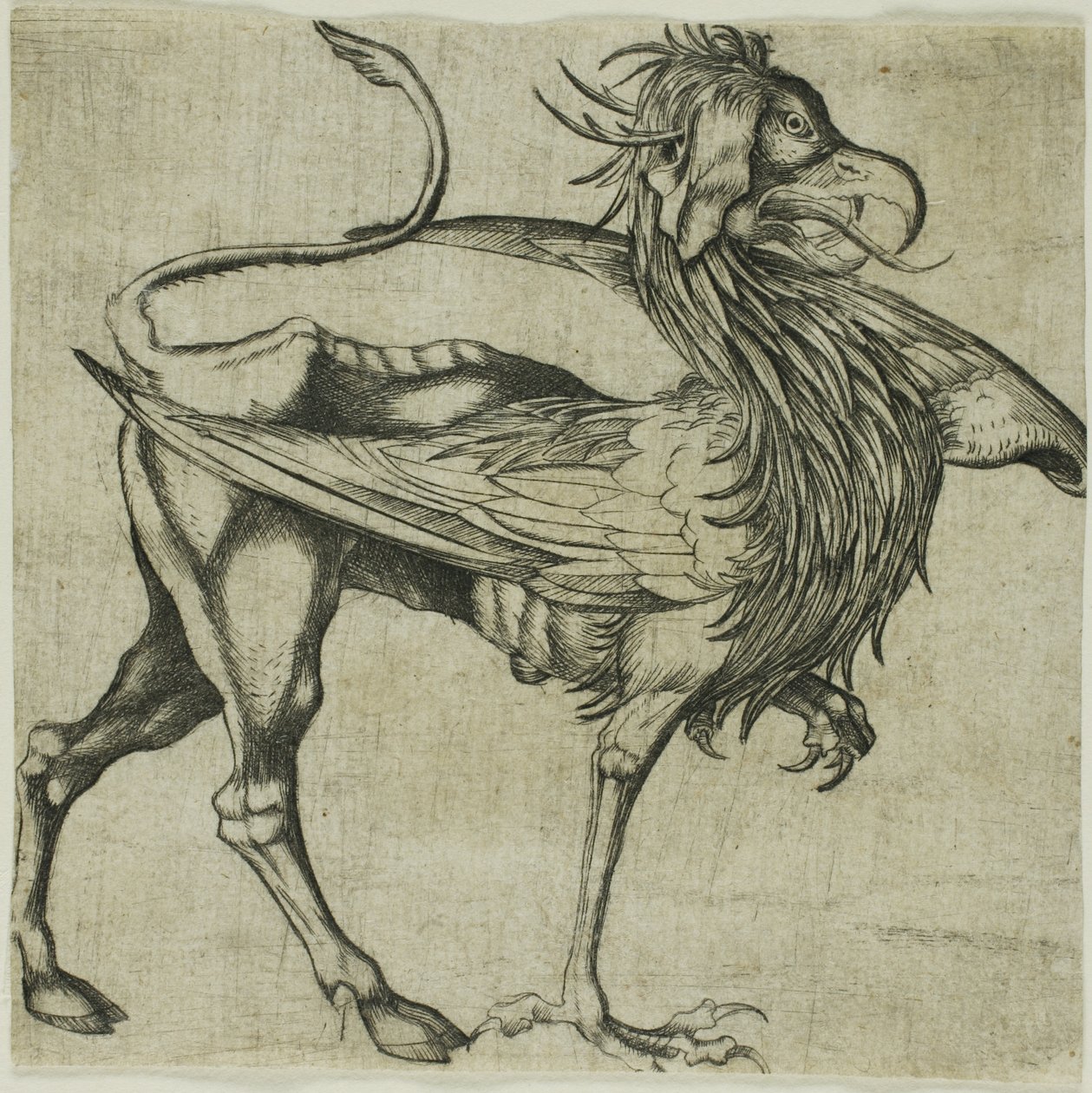  by Martin Schongauer