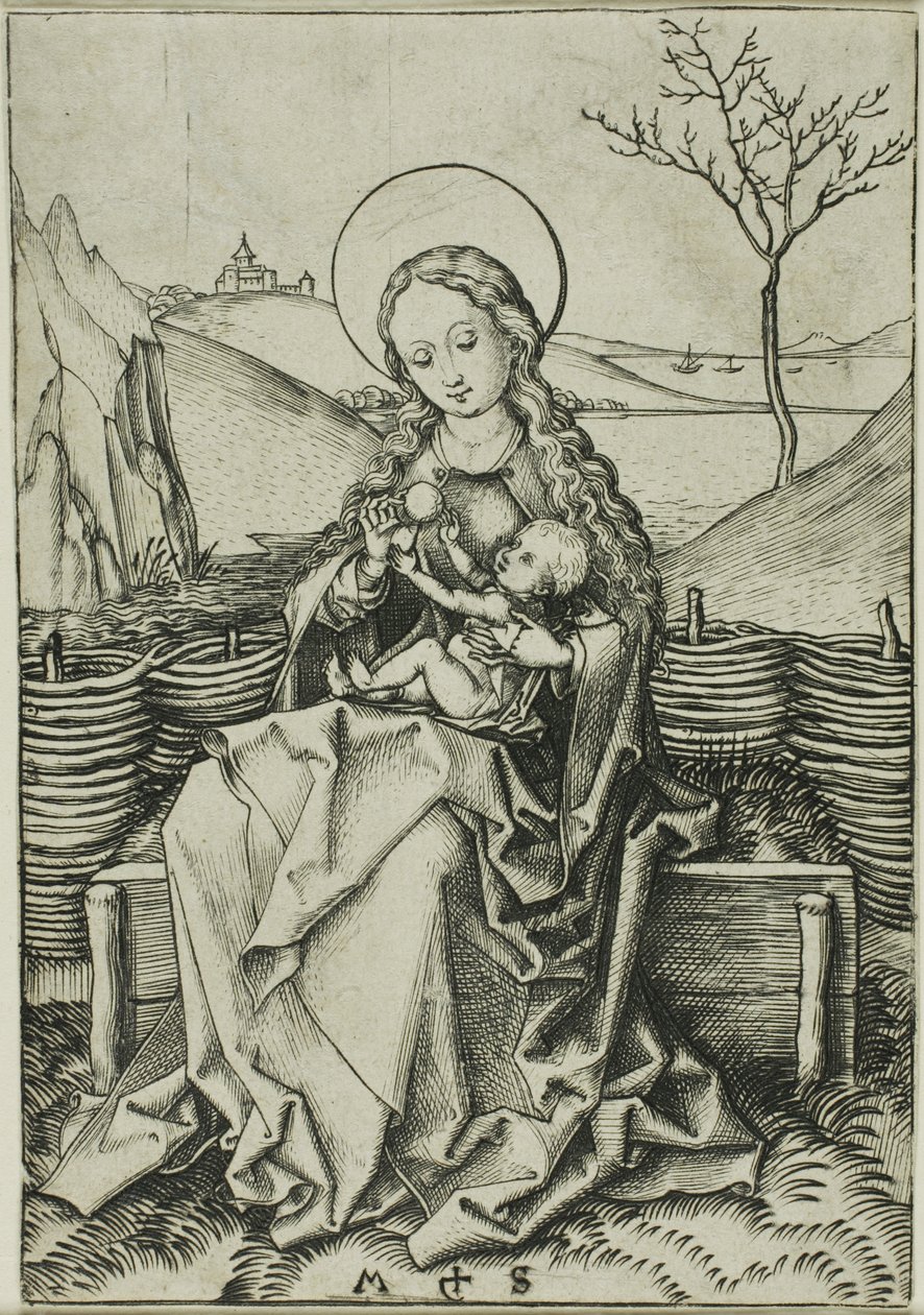  by Martin Schongauer