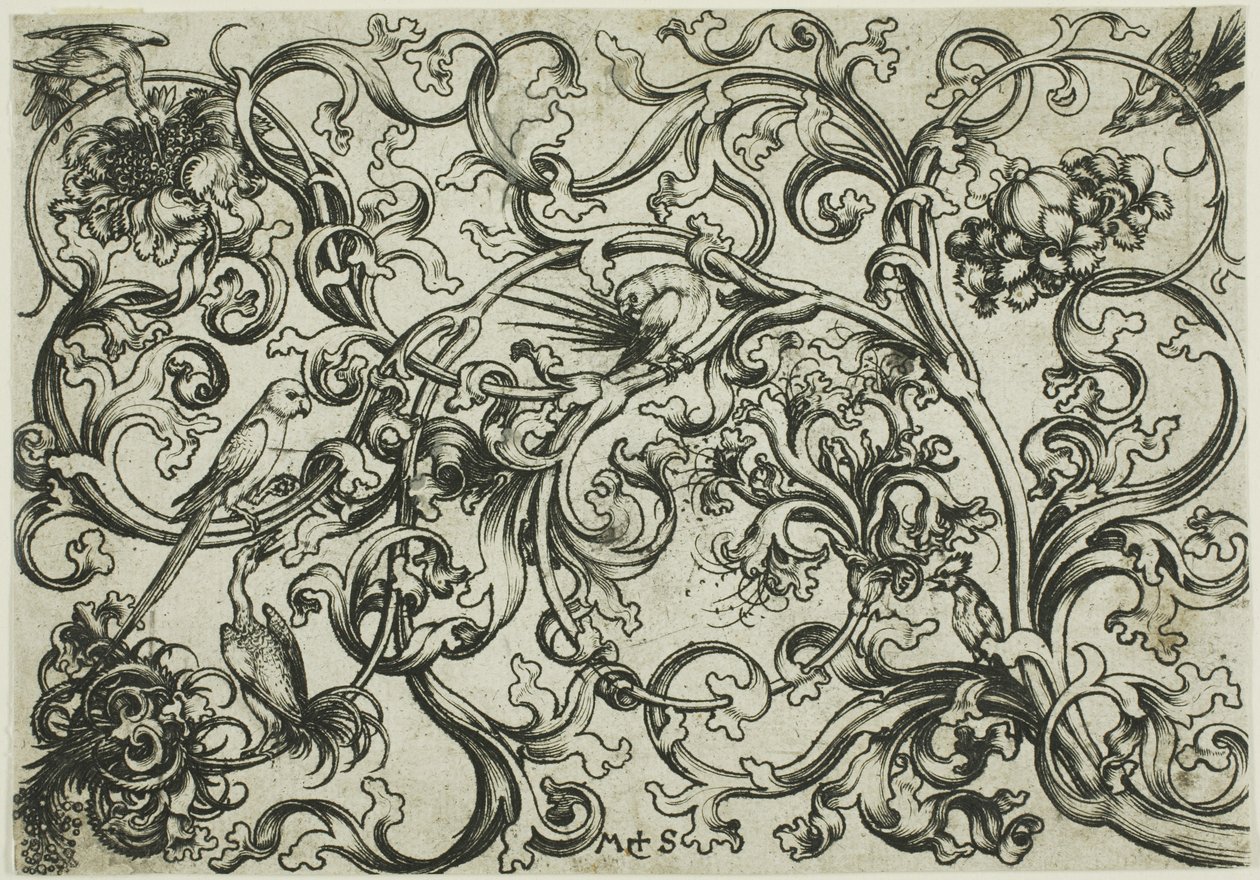  by Martin Schongauer
