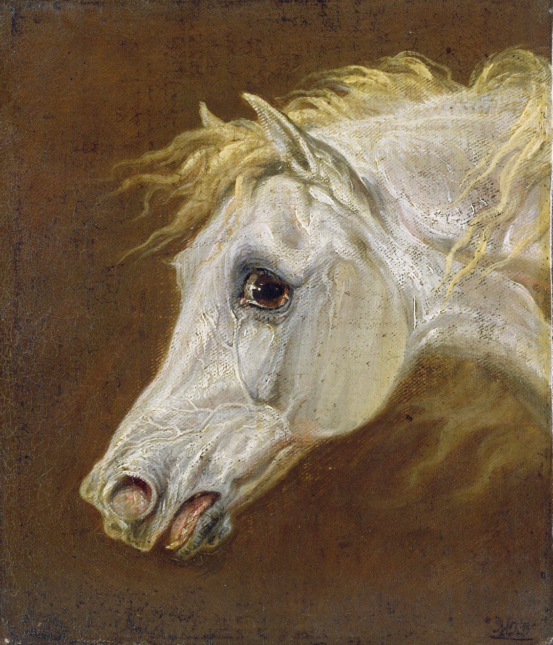 Gri Arap Atının Başı (panel üzerine tuval üzerine yağlı boya) by Martin Theodore Ward