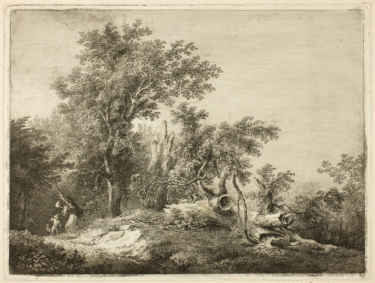  by Martin von Molitor