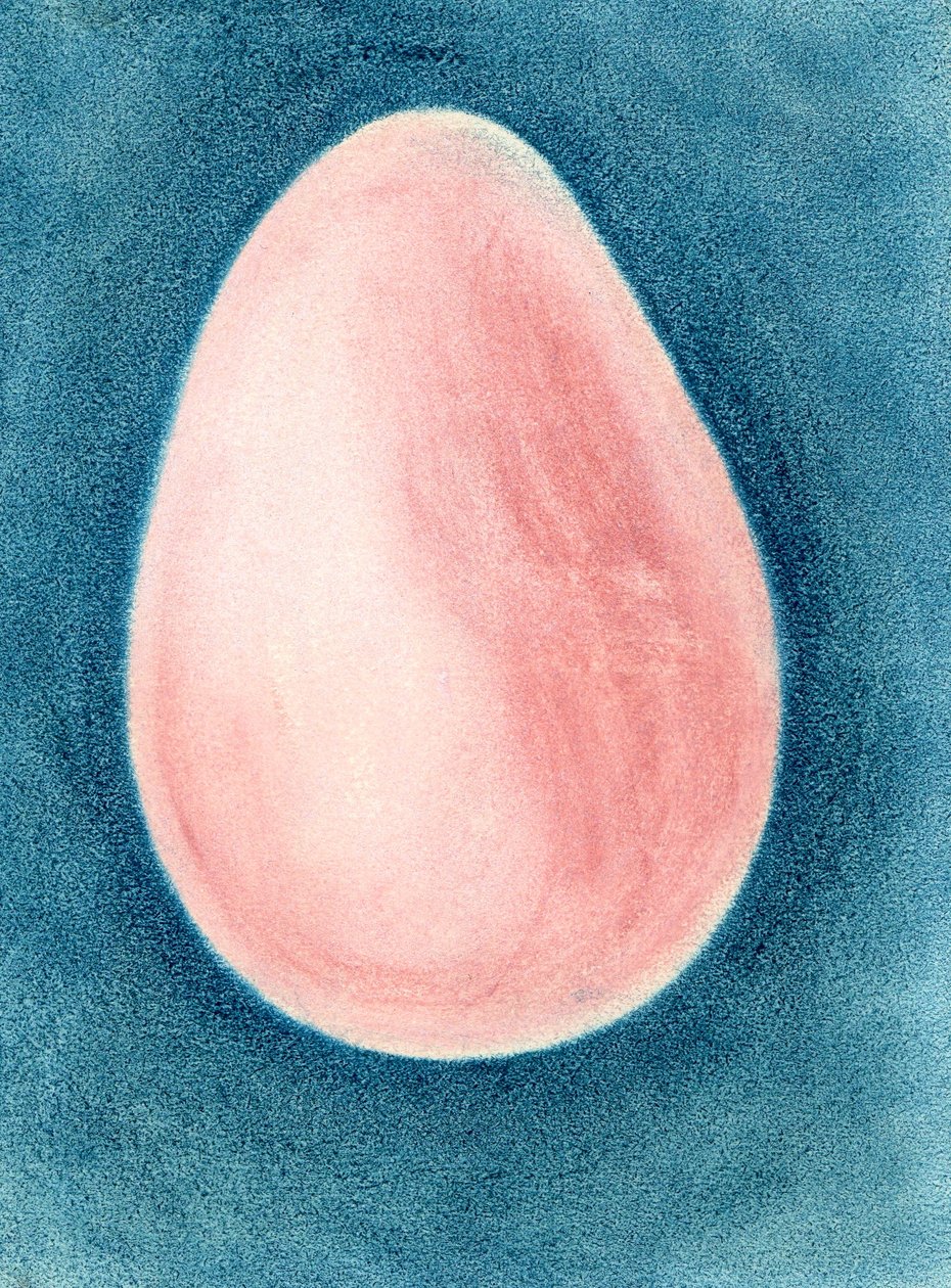 pembe yumurta by Martina Konitzky