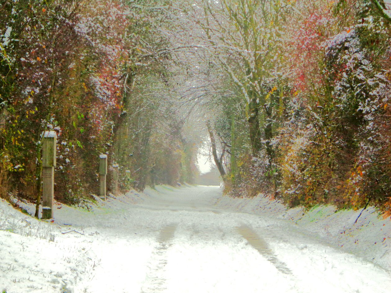 toprak yol by Martina Konitzky