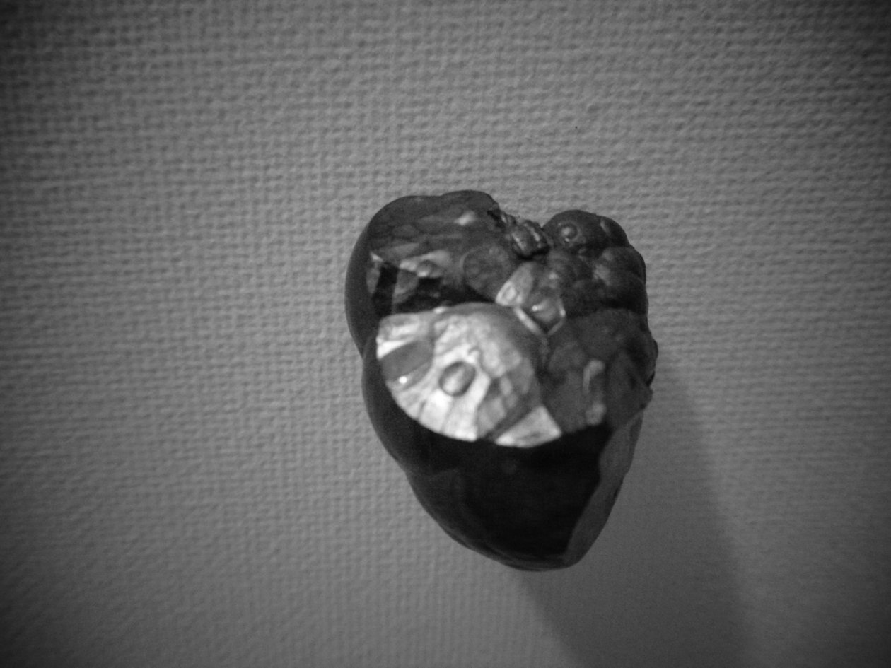 metal by Martina Konitzky