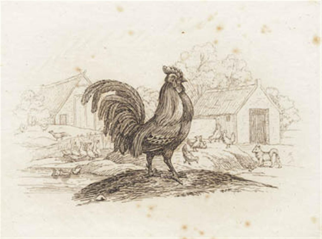 Hey tarafından "Çocuklar için Yarım Yüz Masal" için İllüstrasyon by Martinus Rørbye